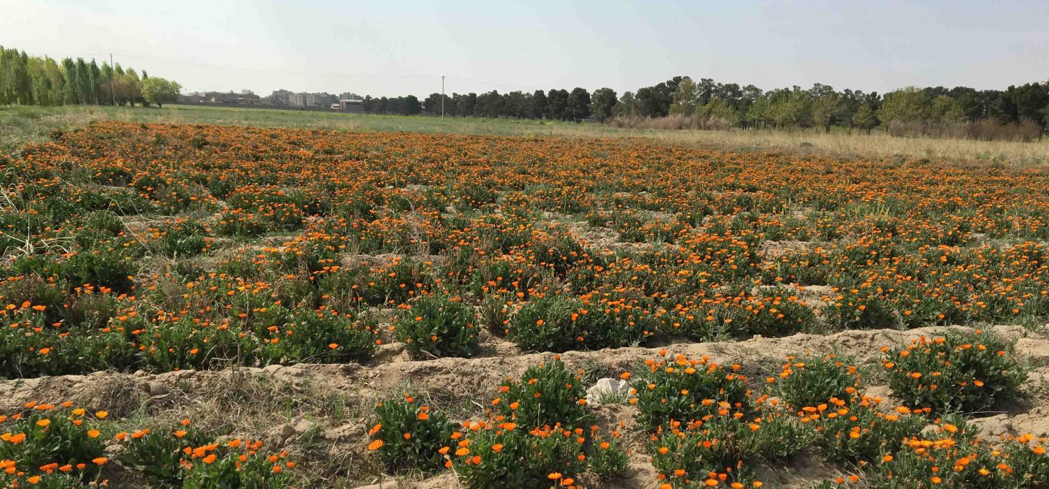 توضیح 2